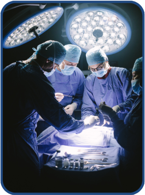 Fellow American College of Surgeons (Facs).